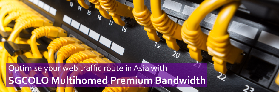 Multihomed Premium Bandwidth